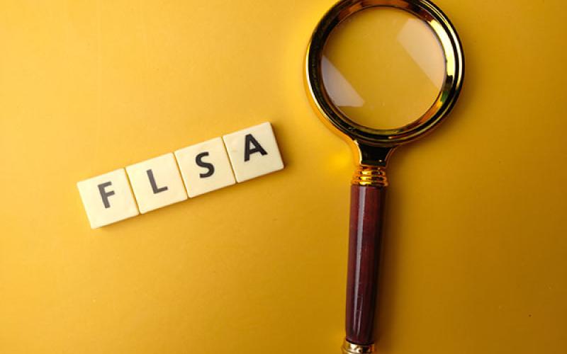 FLSA concept image